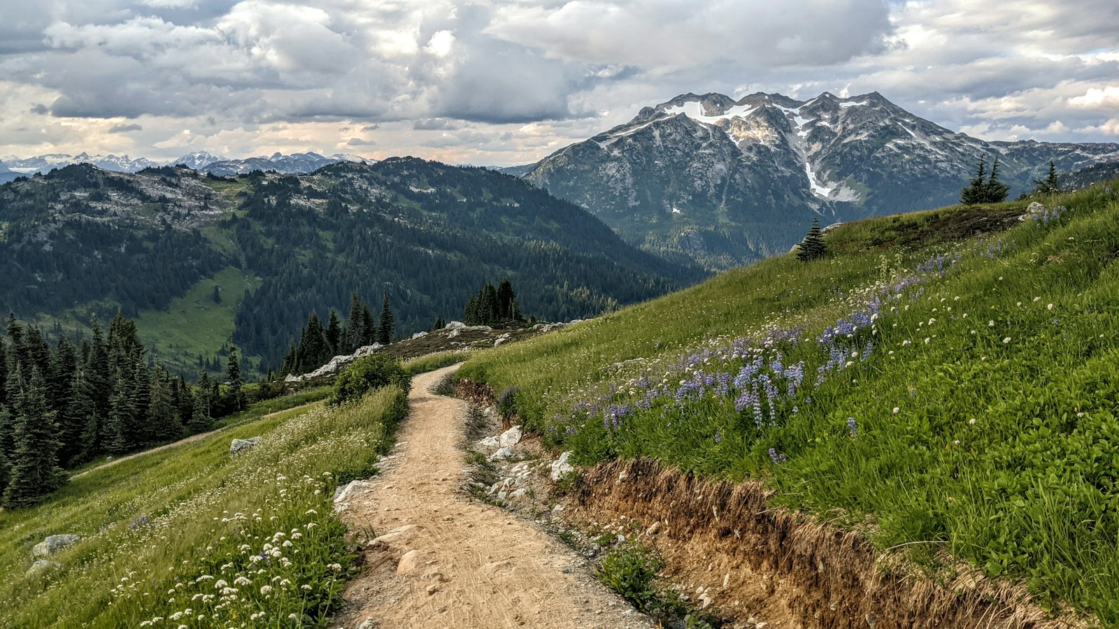 Chemin de terre qui monte vers des montagnes